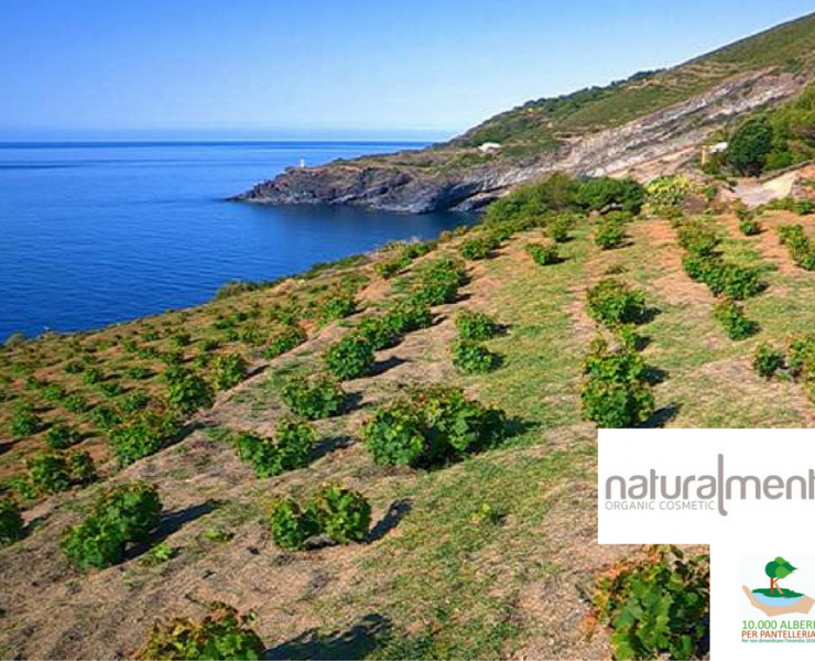 Naturalmente Organic Cosmetic fa più bella Pantelleria