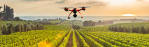 Drone per l'agricoltura di precisione